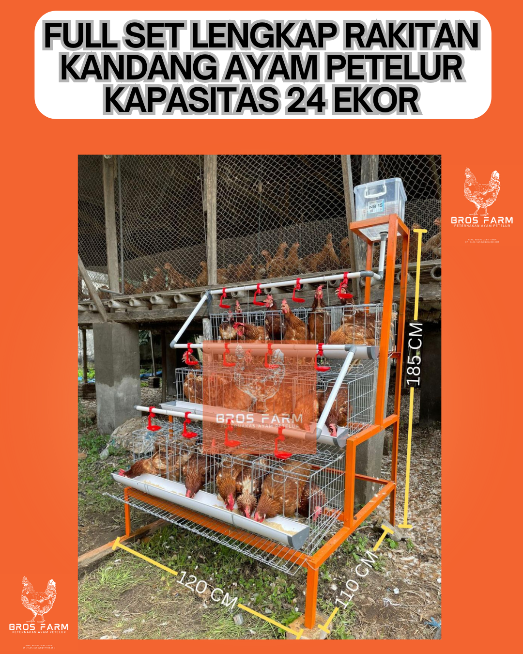 Panduan Merakit Kandang Ayam Petelur Kapasitas 24 ekor
